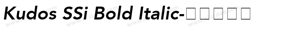 Kudos SSi Bold Italic字体转换